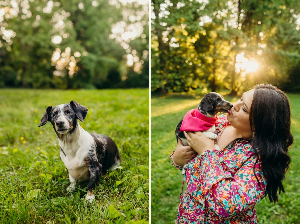 A summer lifestyle dog photoshoot in Philadelphia 