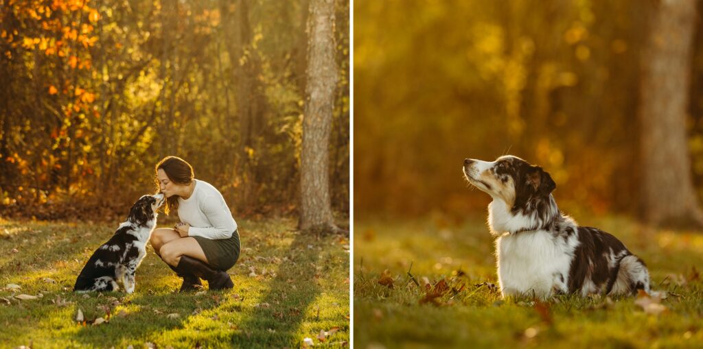 Pennsylvania dog photoshoot in the fall 