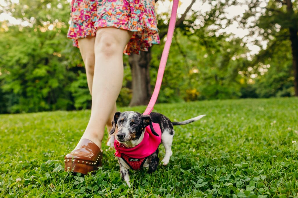 a woman and her dog walking through a dog-friendly Philadelphia park 