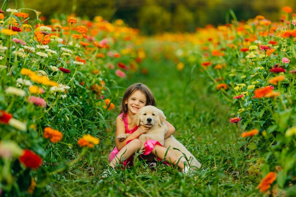 a little girl and her golden retriever puppy at maple acres farm in Pennsylvania during a summer pet session 