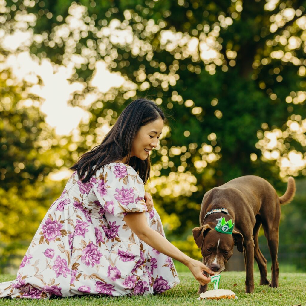 A Philadelphia woman feeding her dog his 7th birthday cake during their lifestyle pet session 