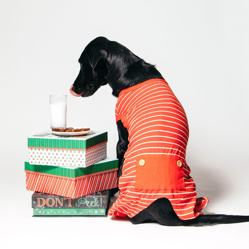 a black dog wearing christmas pajamas, next to a stack of Christmas presents, milk and cookies 