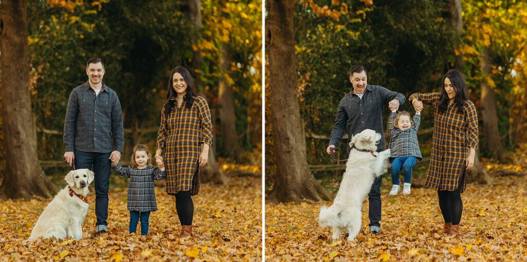 Autumn family photos with a pet retriever in Philadelphia, PA.