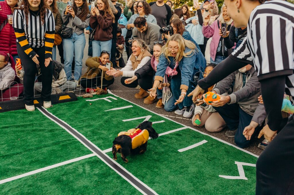 a wiener dog winning a wiener dog race in Manayunk, Philadelphia. 