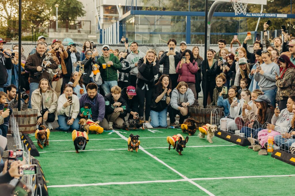 wiener dogs racing in hot dog costumes for a Philly Paws charity event. 