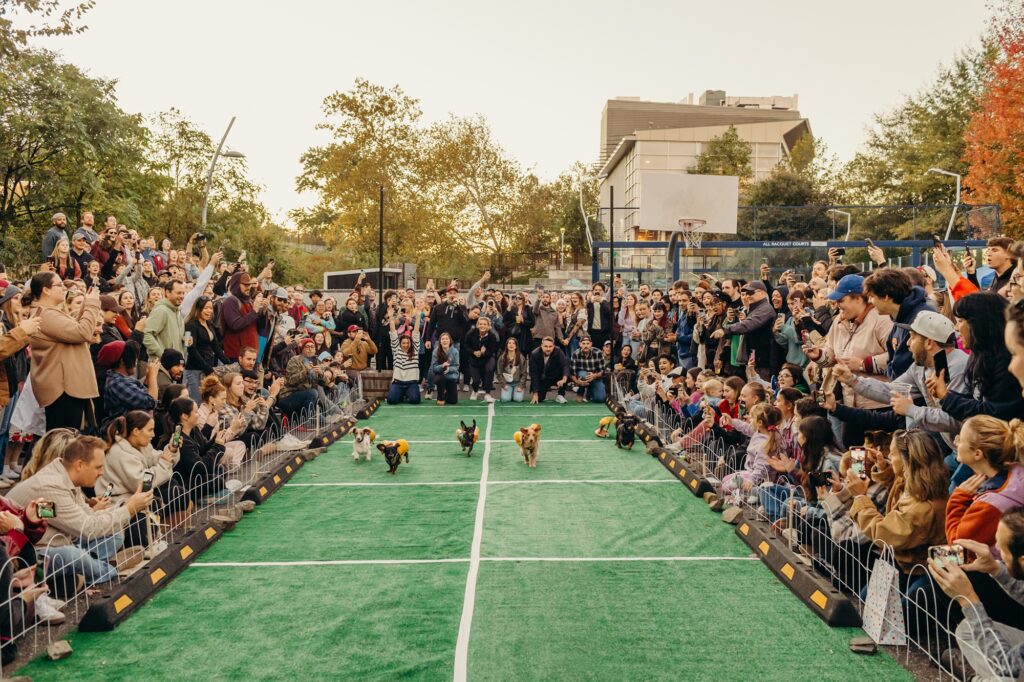 a wiener dog race in Philadelphia to support PAWS, hosted by Lucky's Last Chance. 
