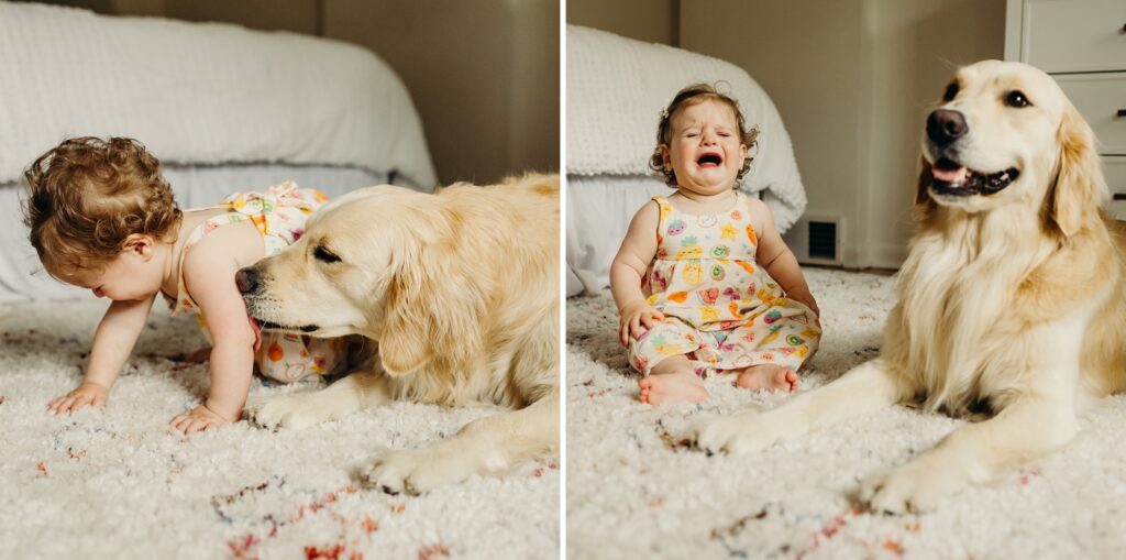 a one year old baby and a golden retriever during an at home family photoshoot in the Rittenhouse neighborhood of Philadelphia, Pennsylvania 