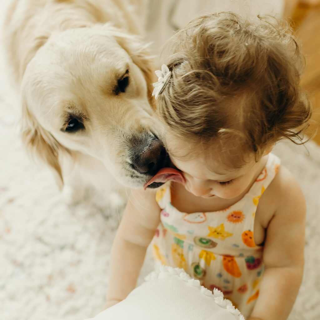 a golden retriever kissing her family's toddler during an indoor family photo session in Rittenhouse Philadelphia