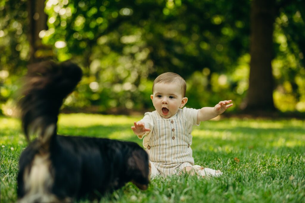 a 6 month old boy and his pet dachshund at a Philadelphia park during a summer family photo session. 