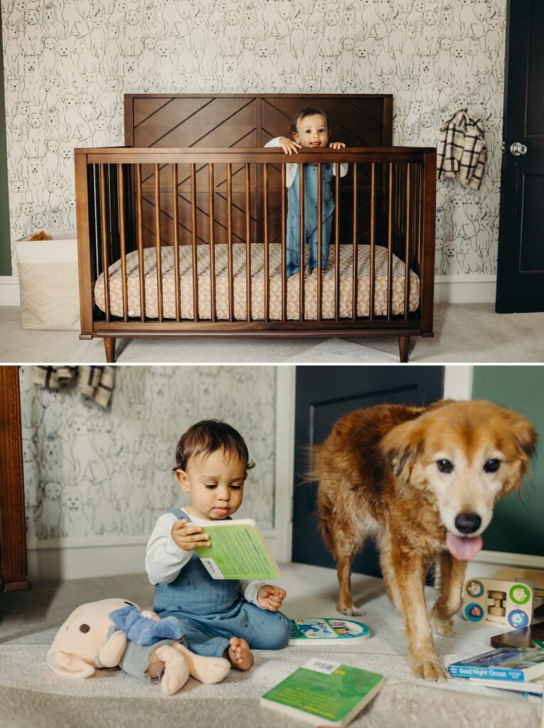 a baby boy and his golden retriever during an at home lifestyle photoshoot in Norristown, Pennsylvania 