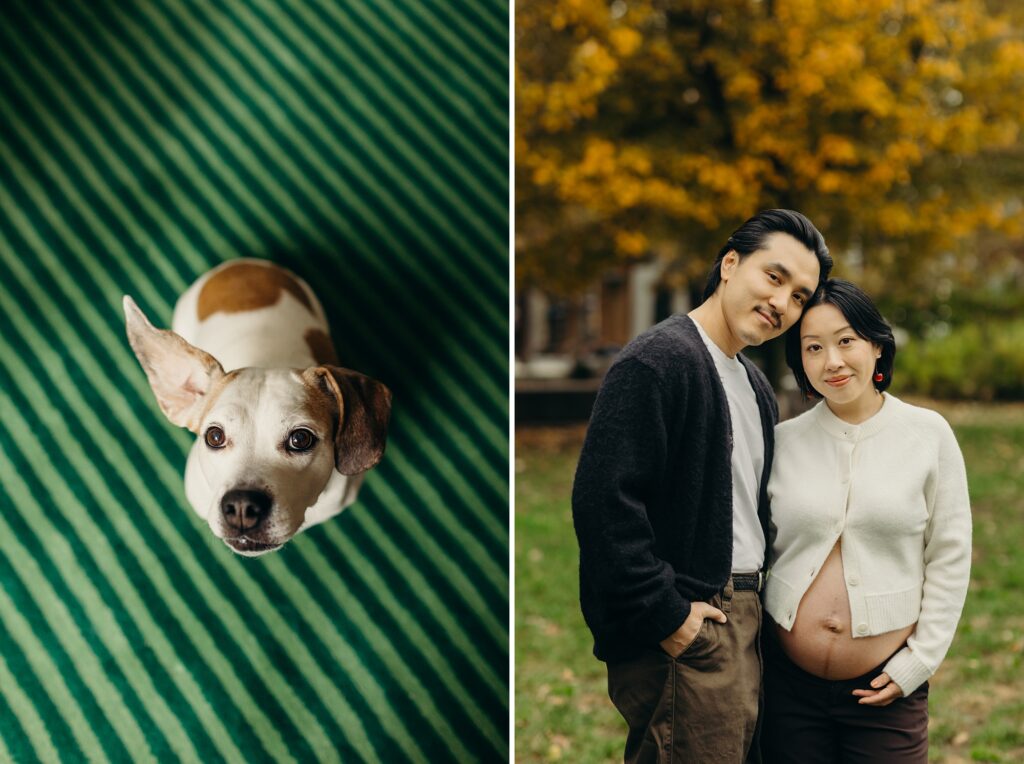 a cute fall maternity photoshoot with a young Philadelphia couple from Queen Village. 