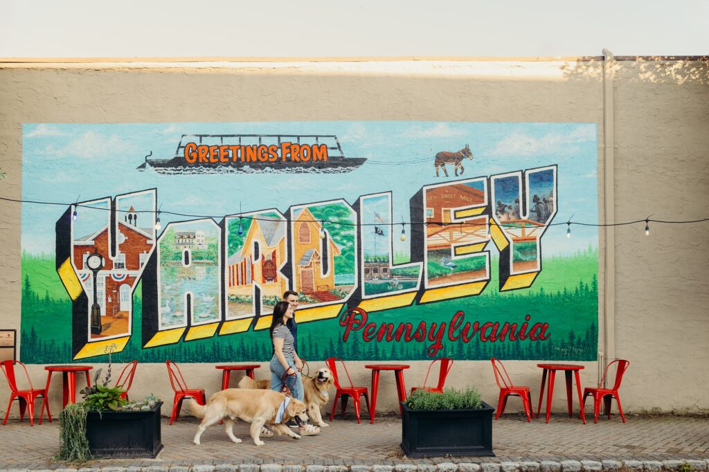 a couple walking their two golden retrievers through Yardley, Pennsylvania in the summer. 