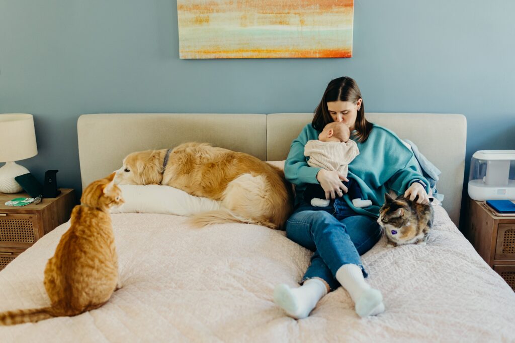 a mother holding her newborn son, while surrounded by her 2 cats and her golden retriever during an at home lifestyle newborn session in Roxborough, PA