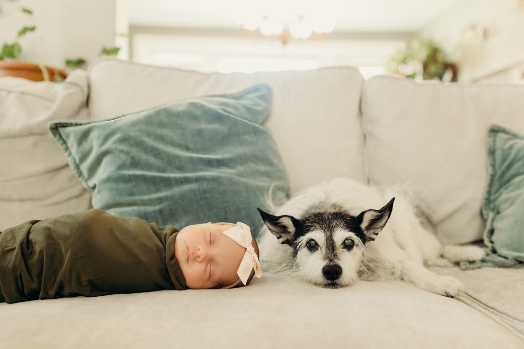 an at home newborn girl photo session with a dog in a Lansdowne, Pennsylvania home. 