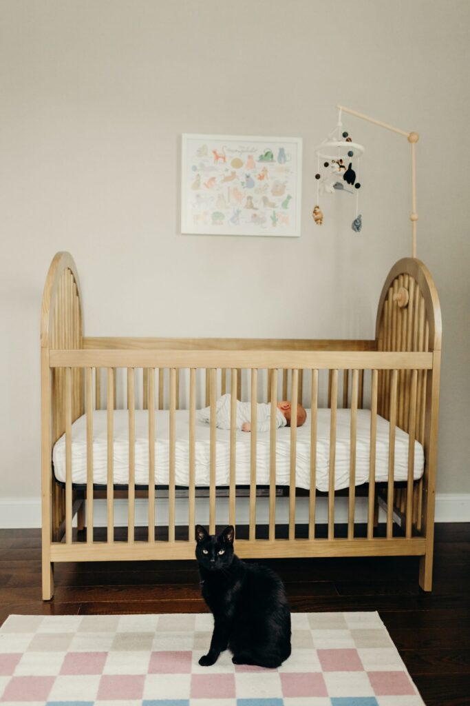 a newborn photo session with a black cat in Fairmount, Philadelphia, Pennsylvania. 