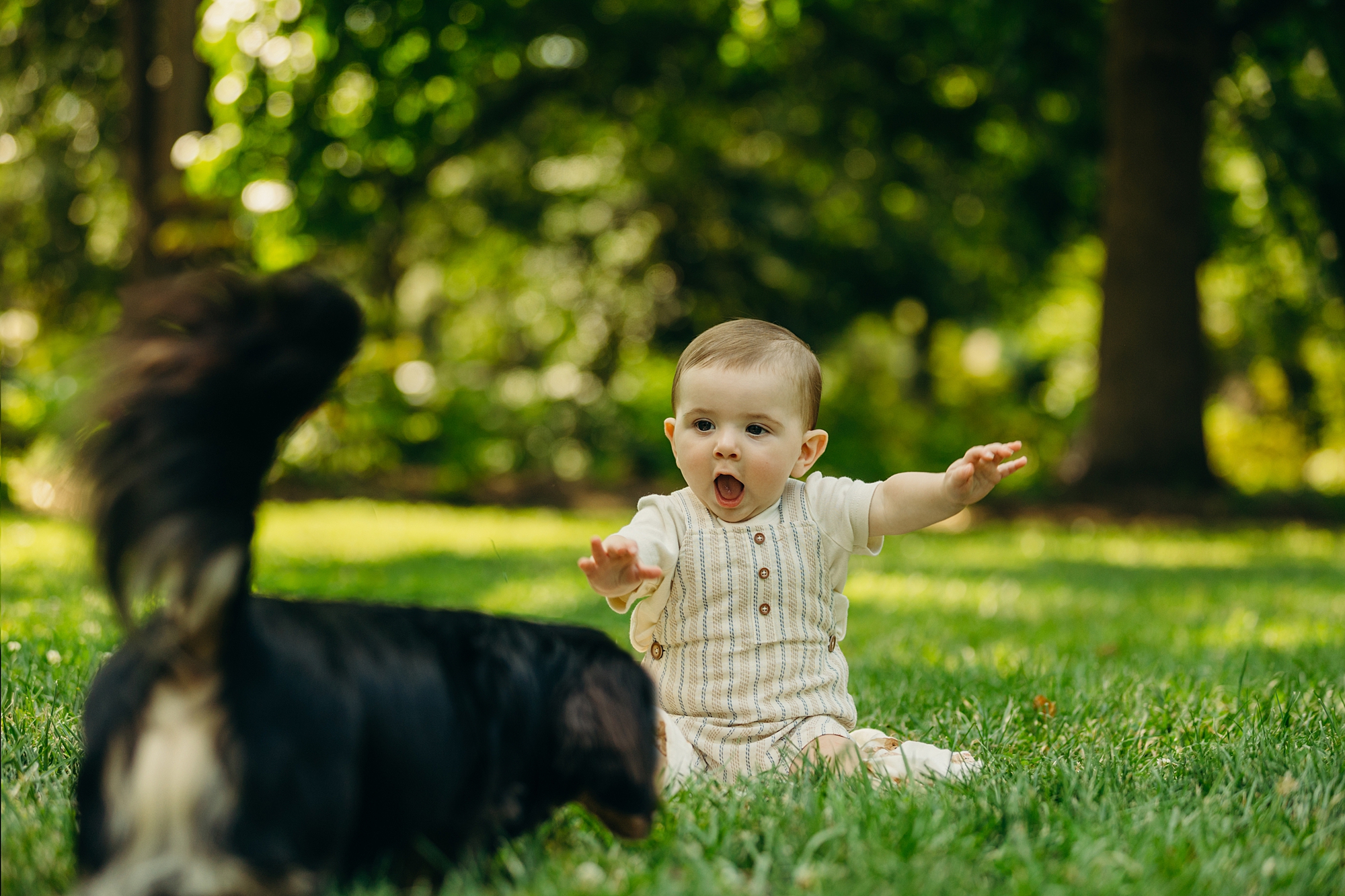baby boy looks excited with small dog walking towards him