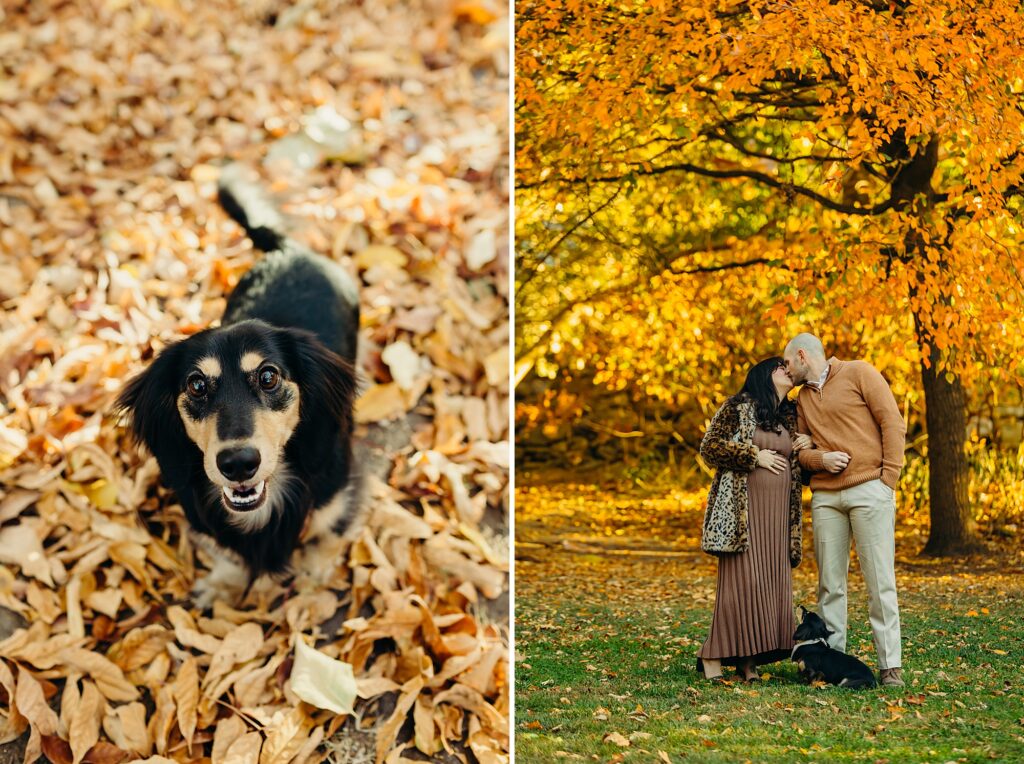 golden hour fall maternity photos near Fairmount in Philadelphia
