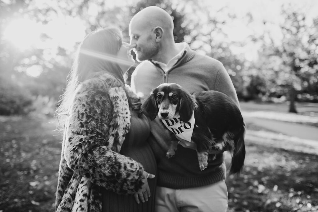 pet dog wearing a Big Bro bandana during a lifestyle maternity photo session in Philly
