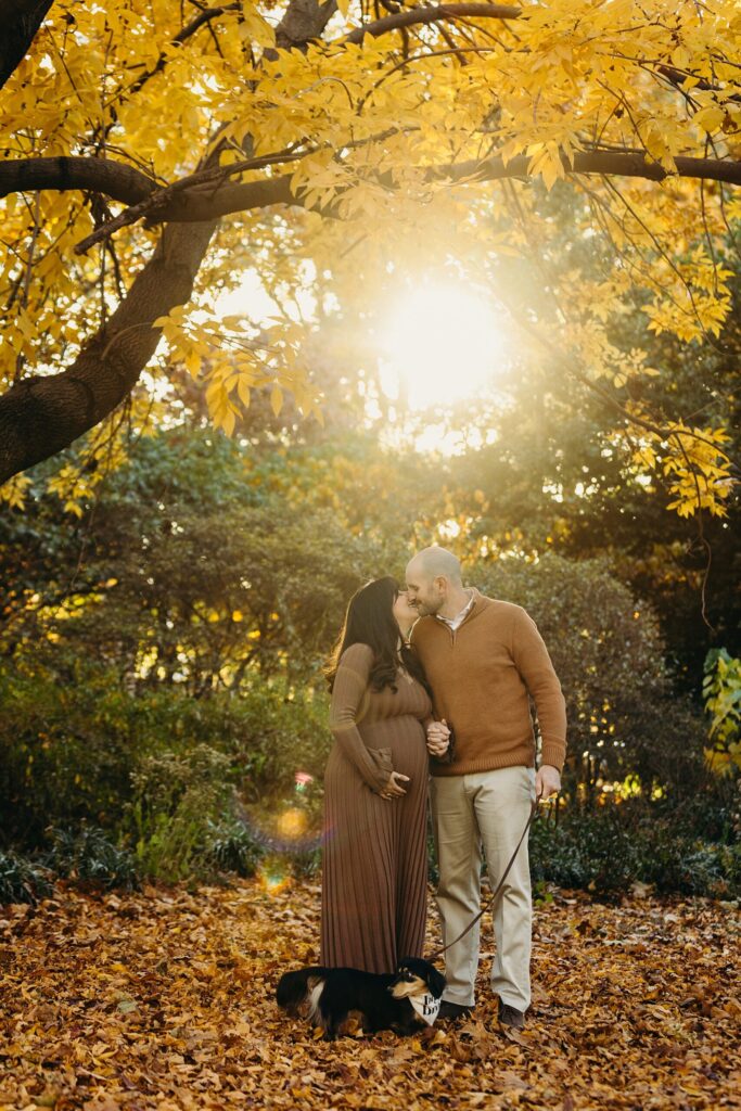 golden hour fall maternity photoshoot with a dog near Fairmount Park in Philly