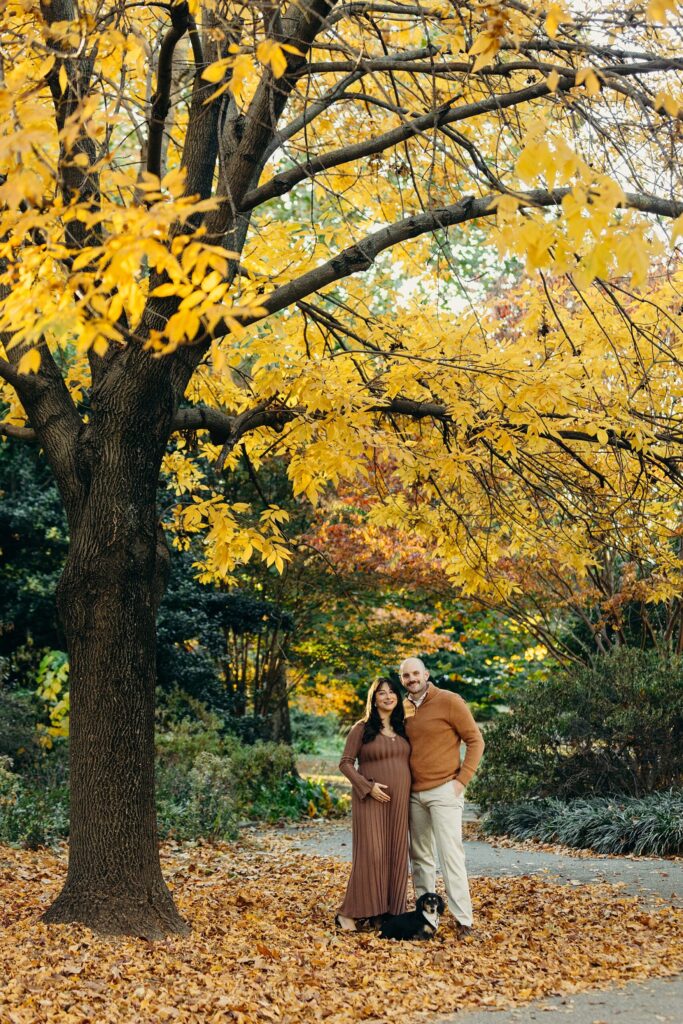 stunning, picturesque lifestyle fall maternity photos with a dog in Philadelphia, Pennsylvania